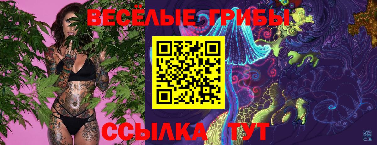 Галлюциногенные грибы GOLDEN TEACHER Добрянка